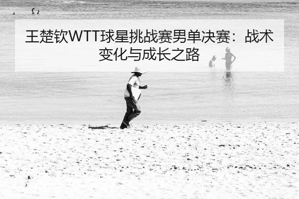 王楚钦WTT球星挑战赛男单决赛：战术变化与成长之路